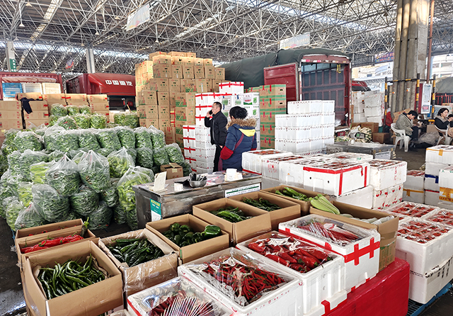 1739170061649302.png 官網(wǎng)圖片尺寸1.png