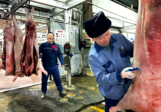 1739170160665881.png 官網(wǎng)圖片尺寸5.png